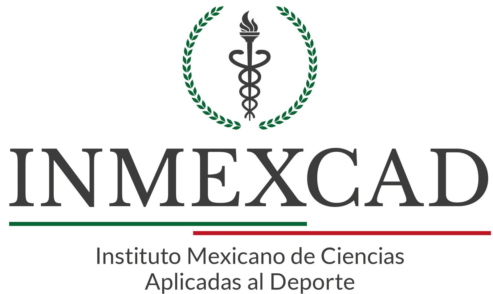 inmexcad.com